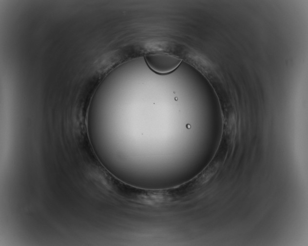 X0000086740418200704131133