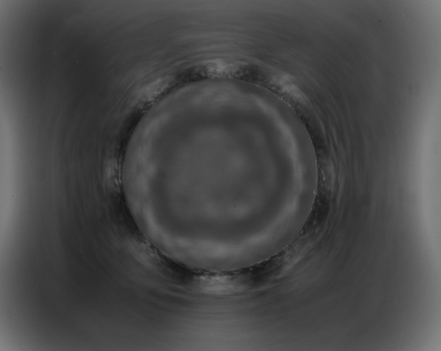 X0000086740419200704131133