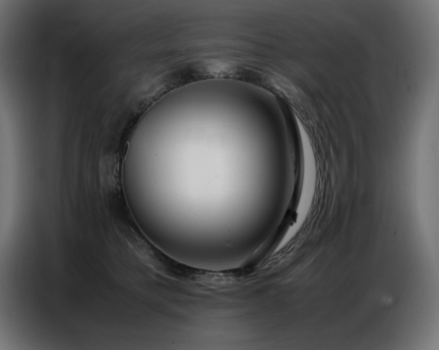 X0000086740421200704131133