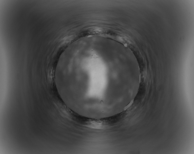 X0000086740423200704131133