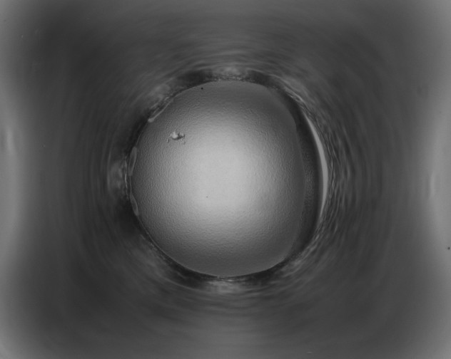 X0000086740425200704131133