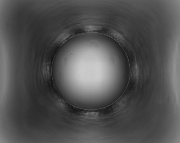 X0000086740426200704131133