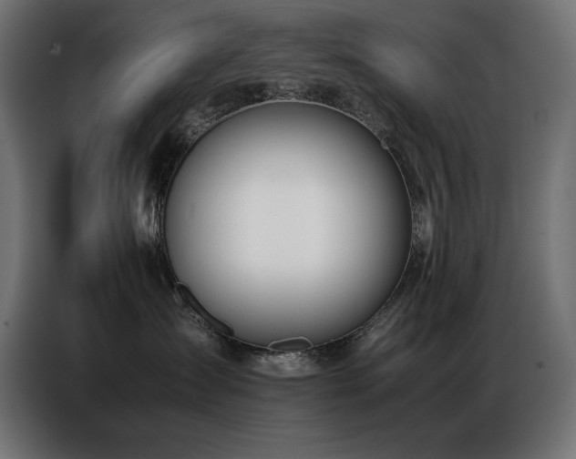 X0000086740431200704131133
