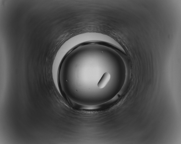 X0000086740432200704131133