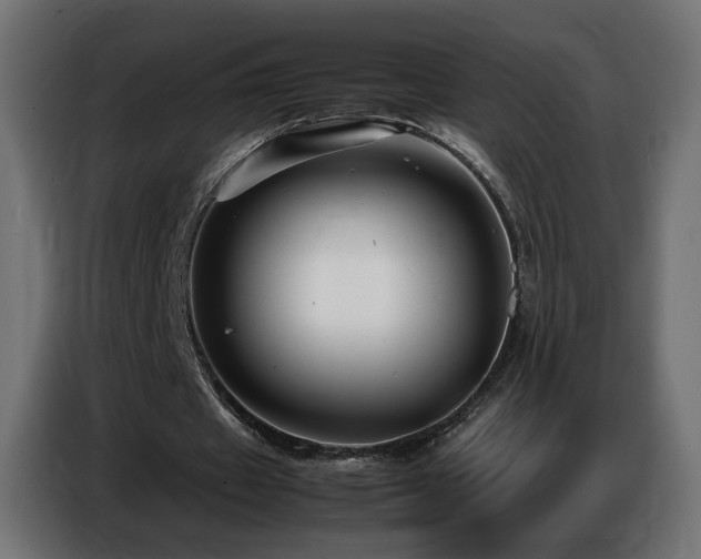 X0000086740433200704131132