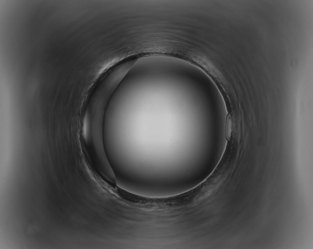 X0000086740434200704131132
