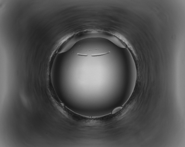 X0000086740437200704131132