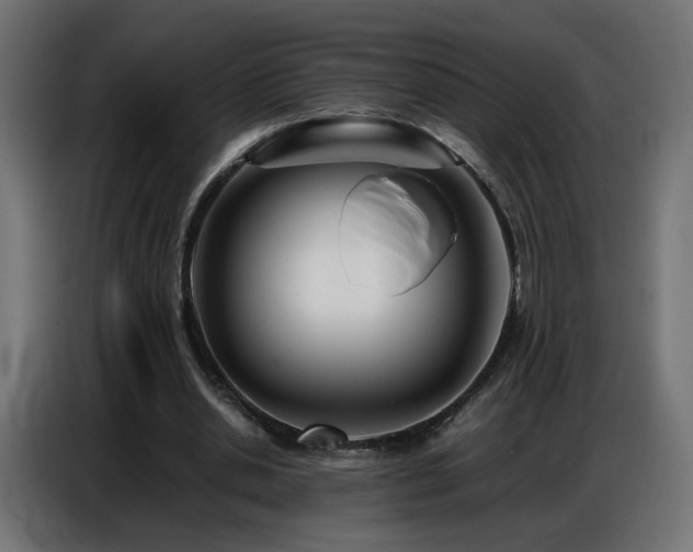 X0000086740438200704131132