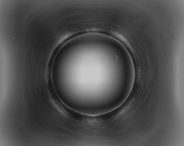 X0000086740439200704131132