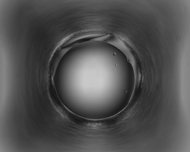 X0000086740440200704131132