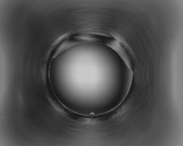 X0000086740442200704131132