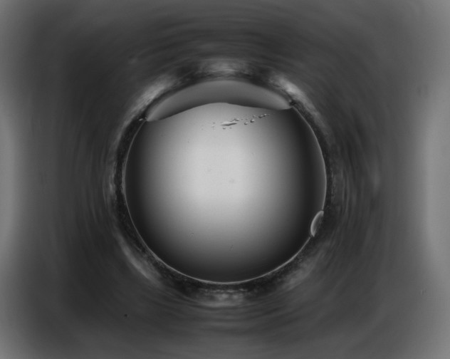 X0000086740443200704131132