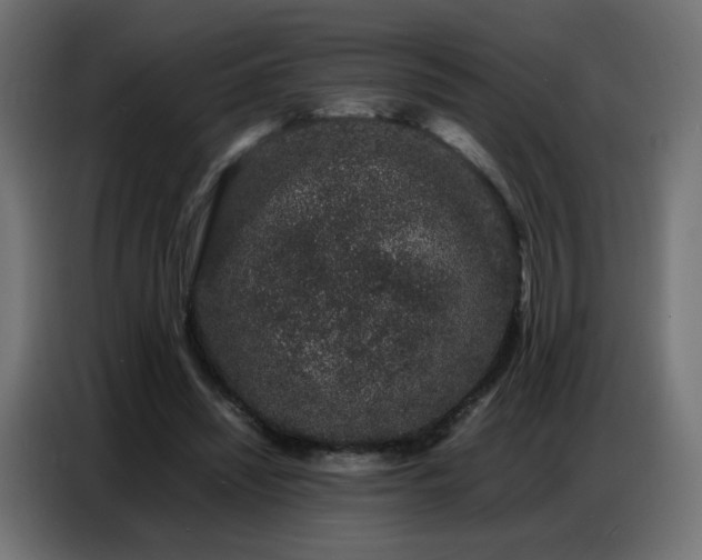 X0000086740444200704131132