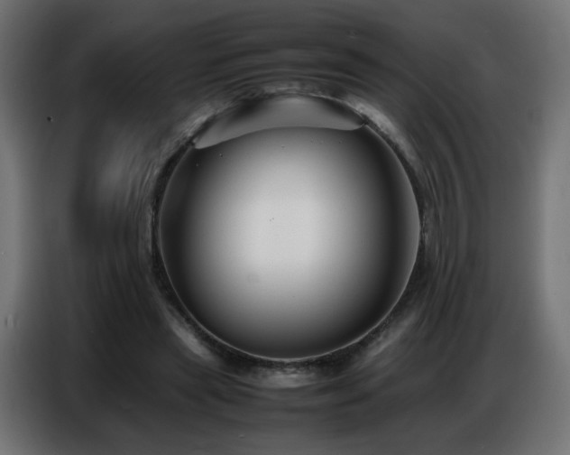 X0000086740445200704131132