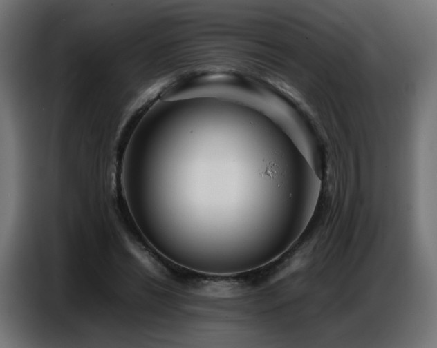 X0000086740446200704131132