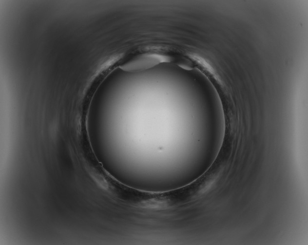 X0000086740447200704131132