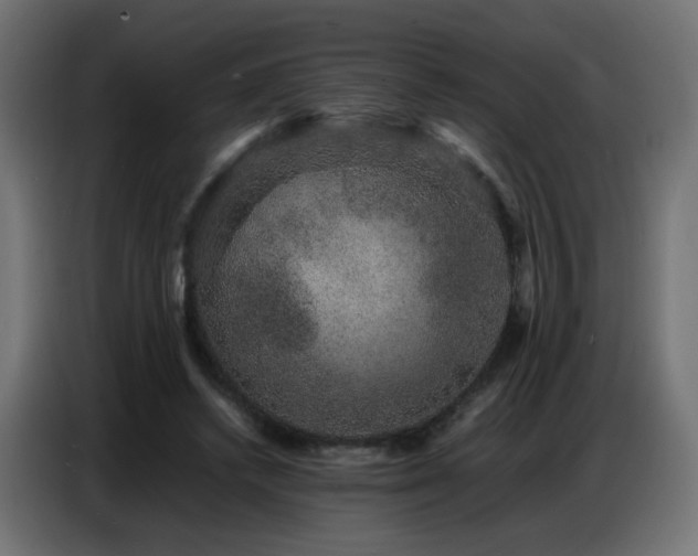 X0000086740448200704131132