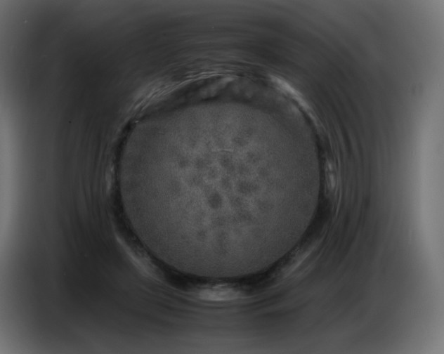 X0000086740451200704131132