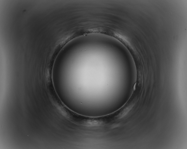 X0000086740453200704131132