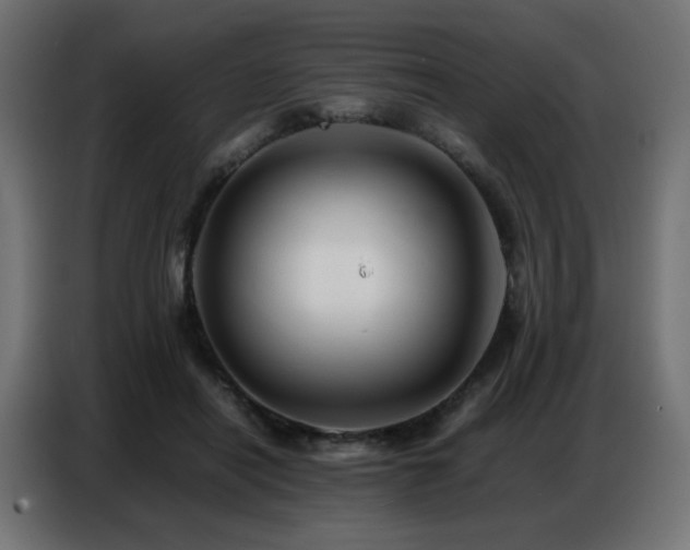 X0000086740454200704131132