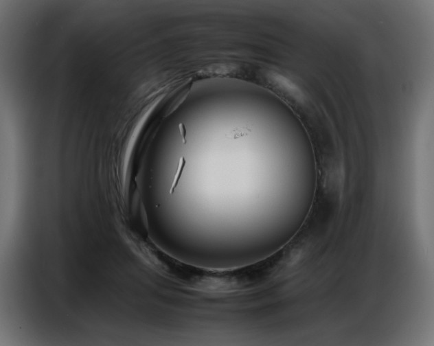X0000086740455200704131132