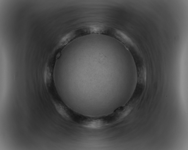 X0000086740456200704131132