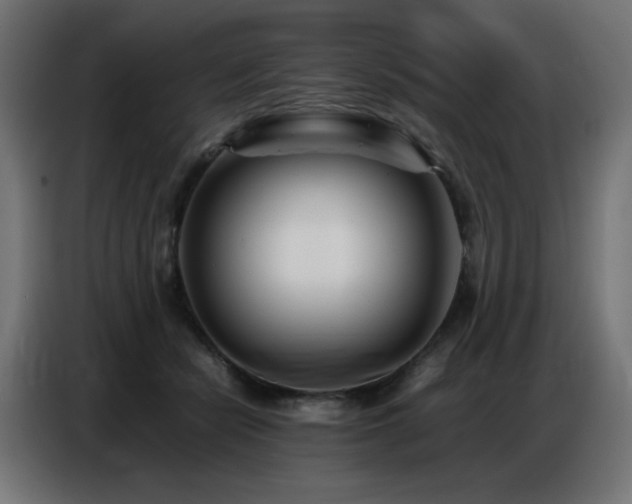 X0000086740462200704131132