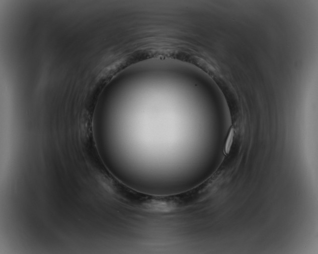 X0000086740464200704131132