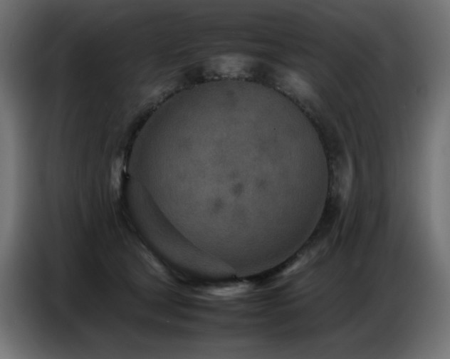 X0000086740465200704131132