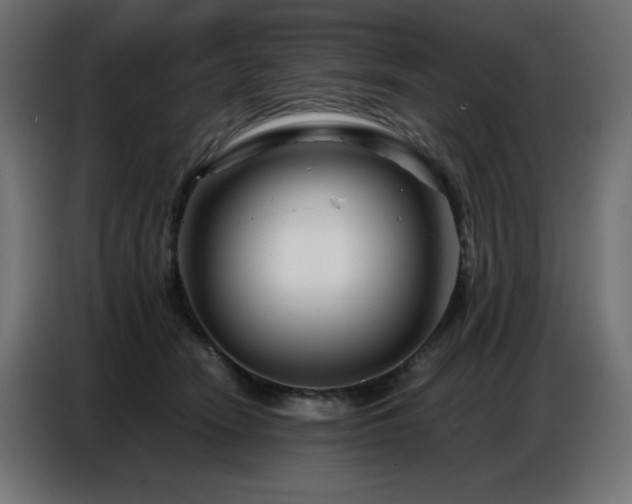 X0000086740466200704131132