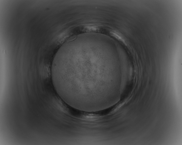 X0000086740467200704131132