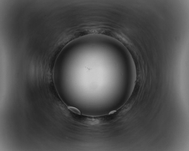 X0000086740469200704131132