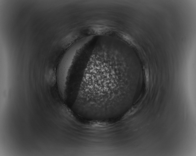 X0000086740471200704131132