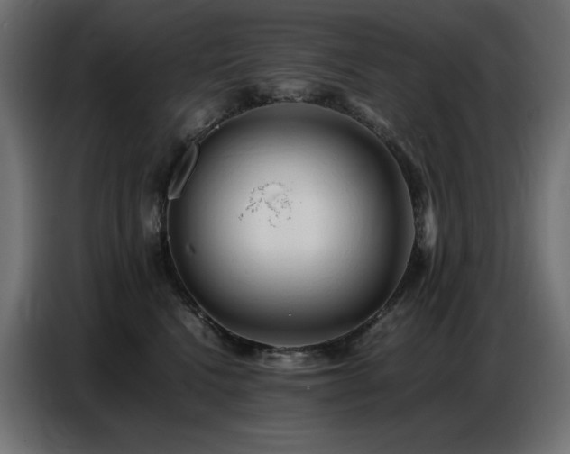 X0000086740472200704131132