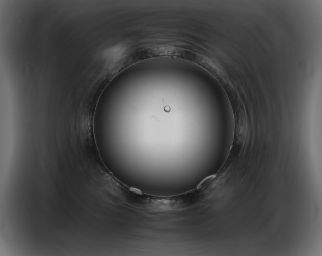X0000086740473200704131132
