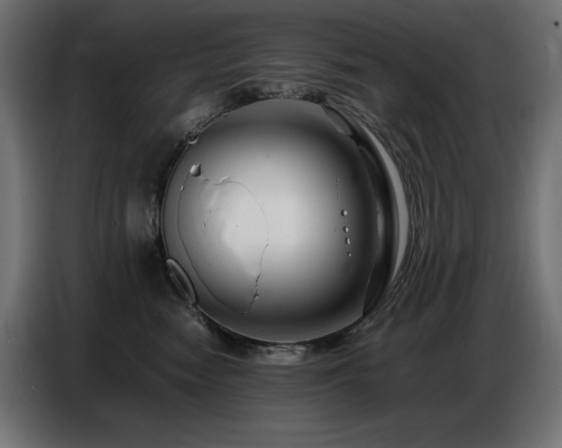 X0000086740474200704131132