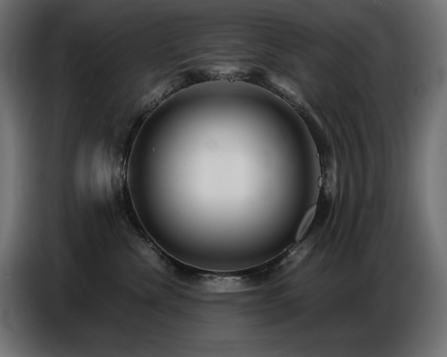 X0000086740476200704131132