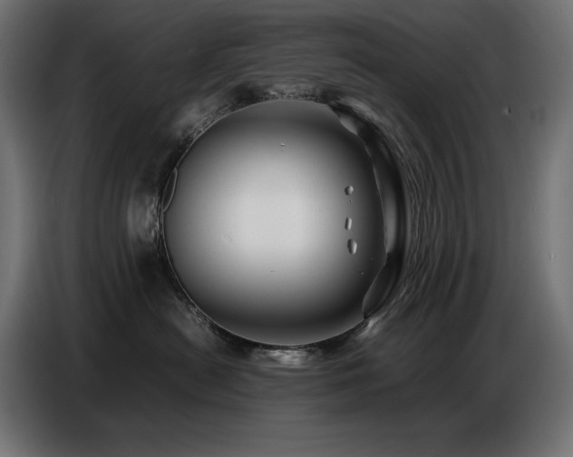 X0000086740478200704131133