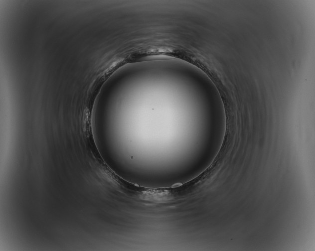 X0000086740480200704131133