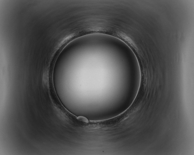 X0000086740482200704131132