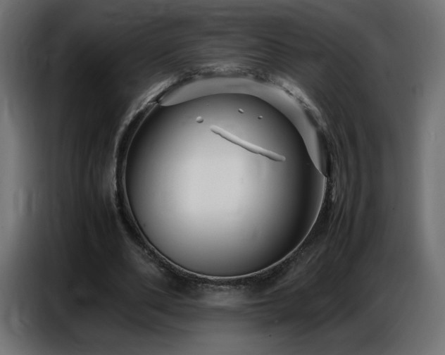 X0000086740486200704131132