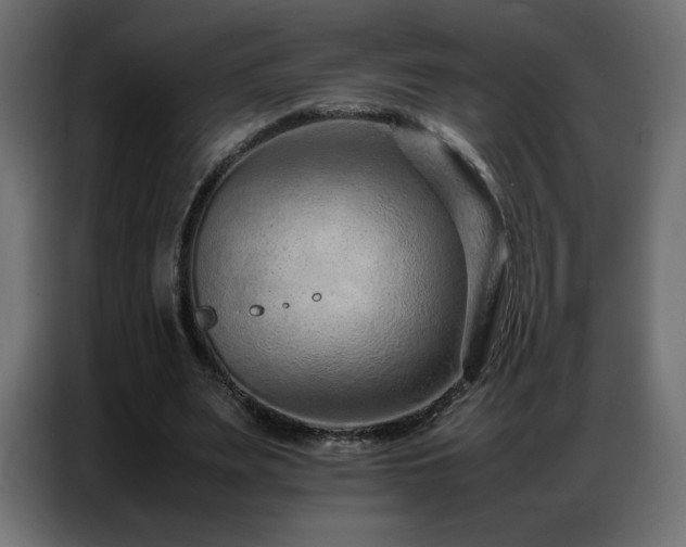 X0000086740487200704131132