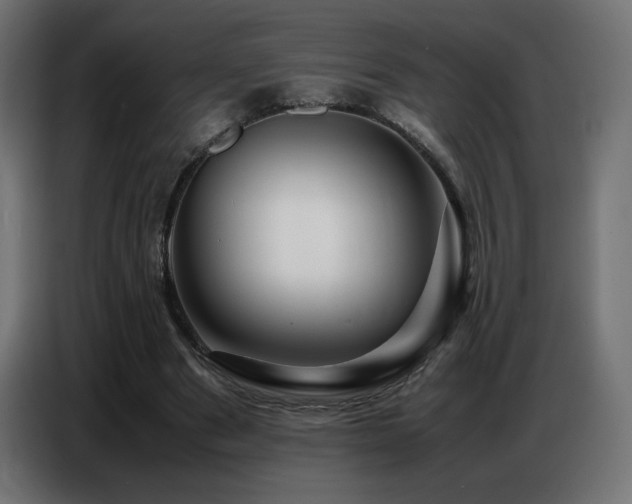 X0000086740489200704131132