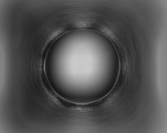 X0000086740490200704131132