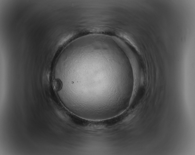 X0000086740491200704131132