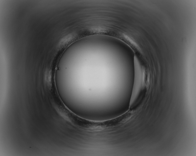 X0000086740494200704131132