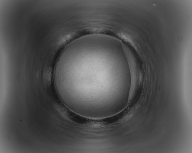 X0000086740495200704131132