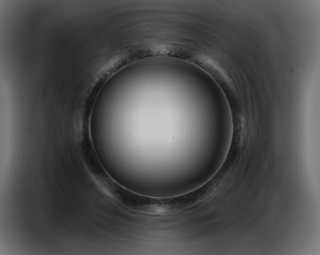 X0000086740496200704131132