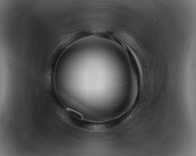 X0000086740501200704131132