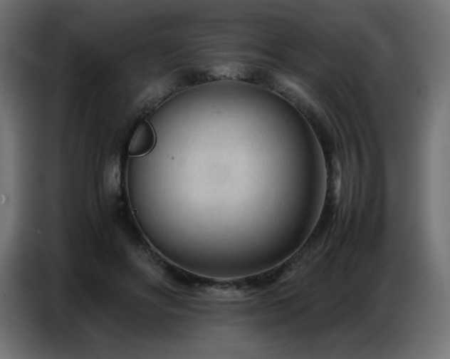 X0000086740502200704131132